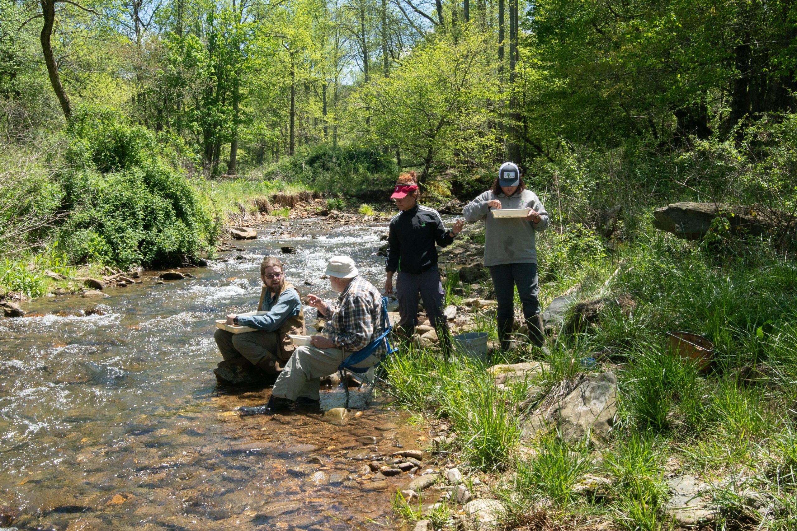 Operations team in search of macroinvertebrates in Mill Creek in Hiwassee, GA