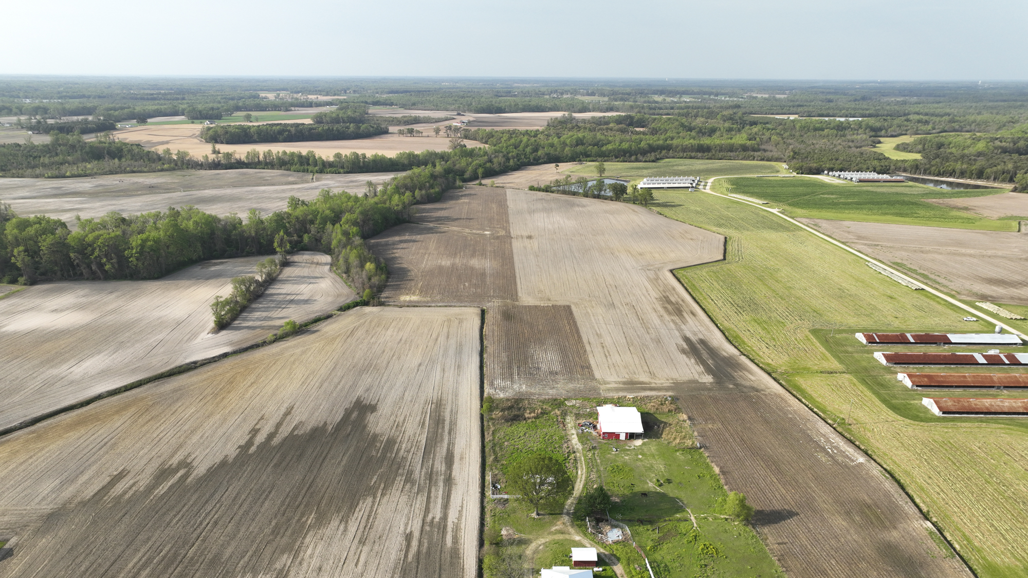 Cover Image for Eco Terra's Horseshoe Mitigation Project