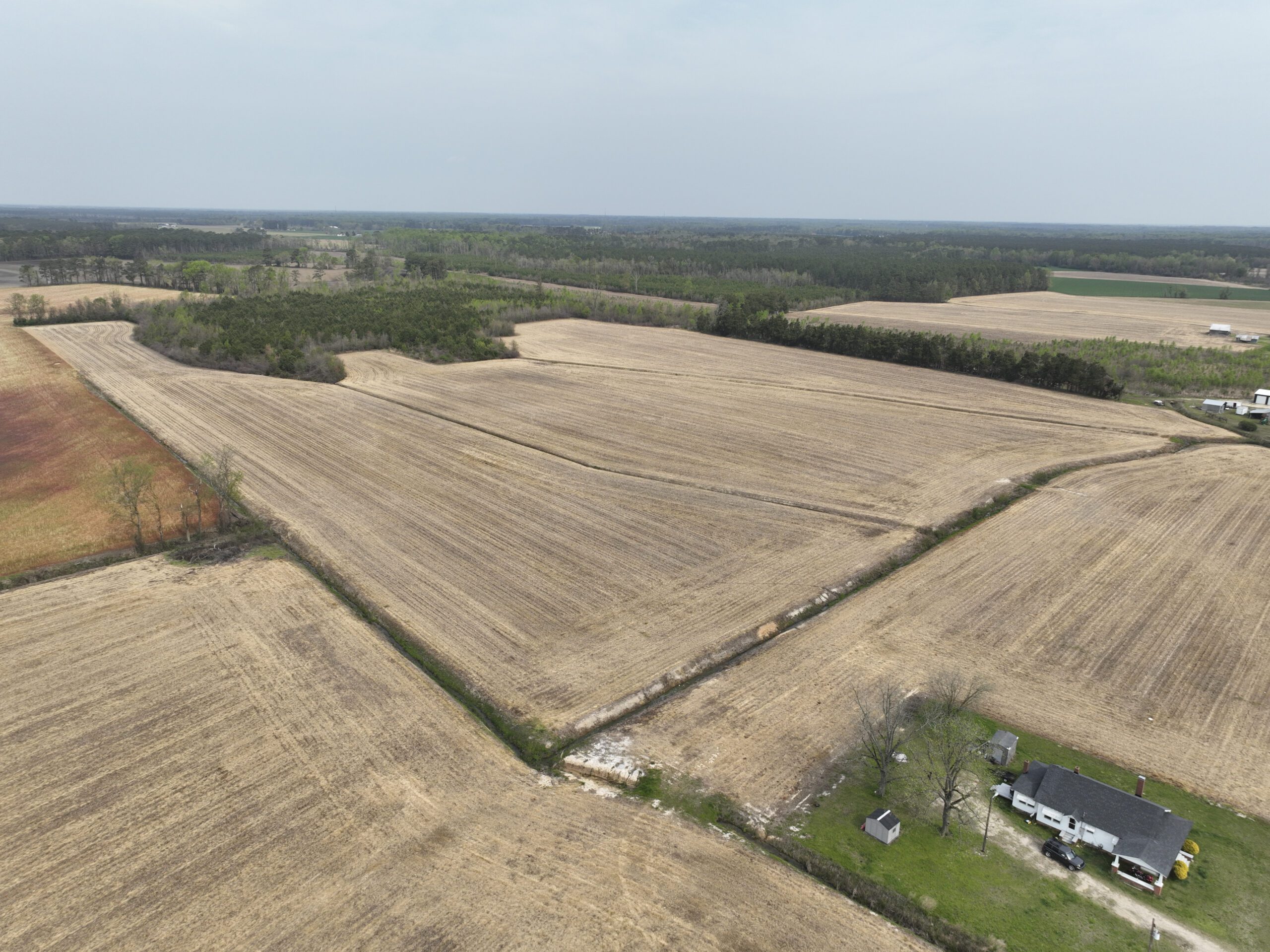 Aerial image (back end) of Sweet Potato Mitigation Site in the Neuse river basin in North Carolina for Eco Terra