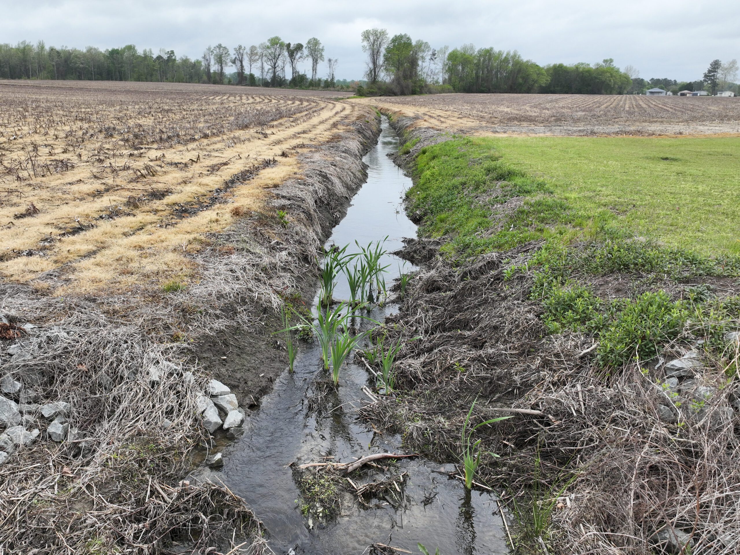 Aerial image of ditch Acorn Mitigation Site in the Neuse river basin in North Carolina for Eco Terra