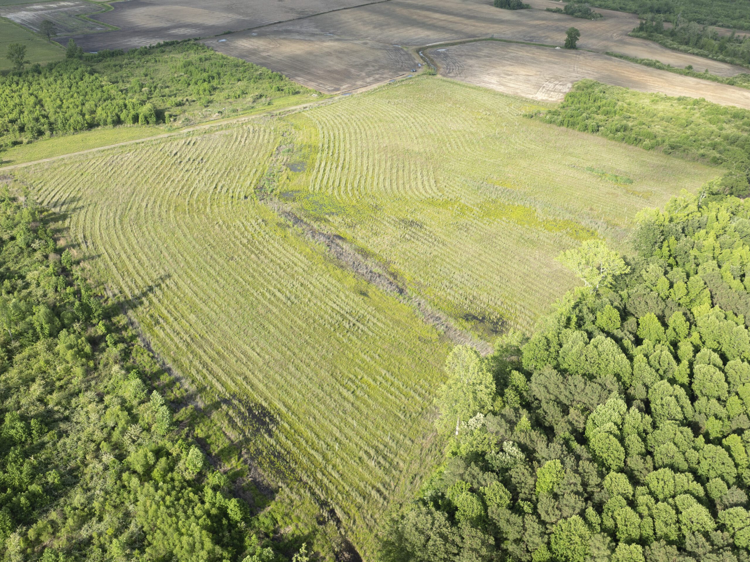 Overview drone image of Colonial Farms Wetland site in Tarboro, North Carolina in TP-03 river basin by Eco Terra