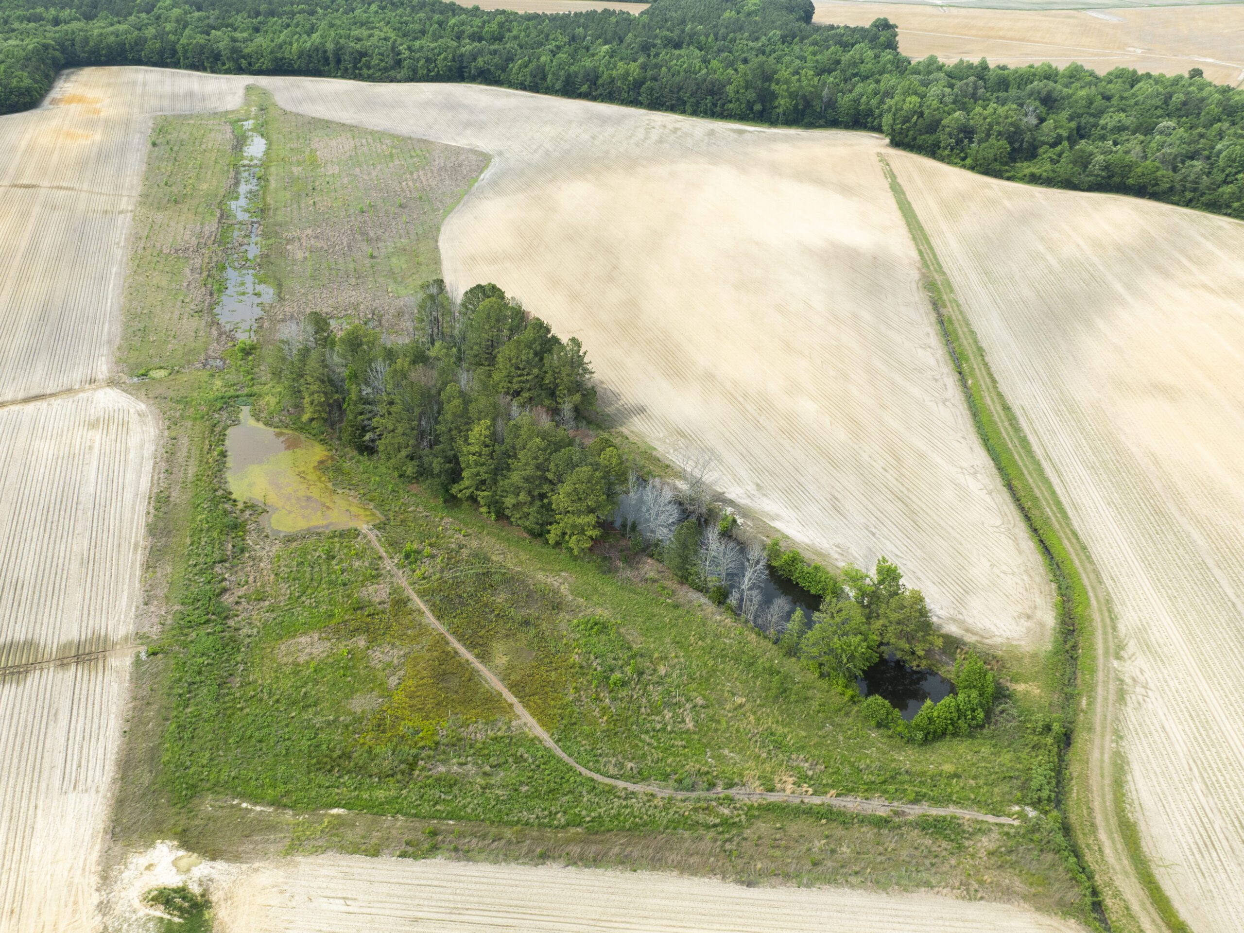 Overview drone image of Maple Swamp Wetland site in Leggett, North Carolina in TP-02 river basin by Eco Terra