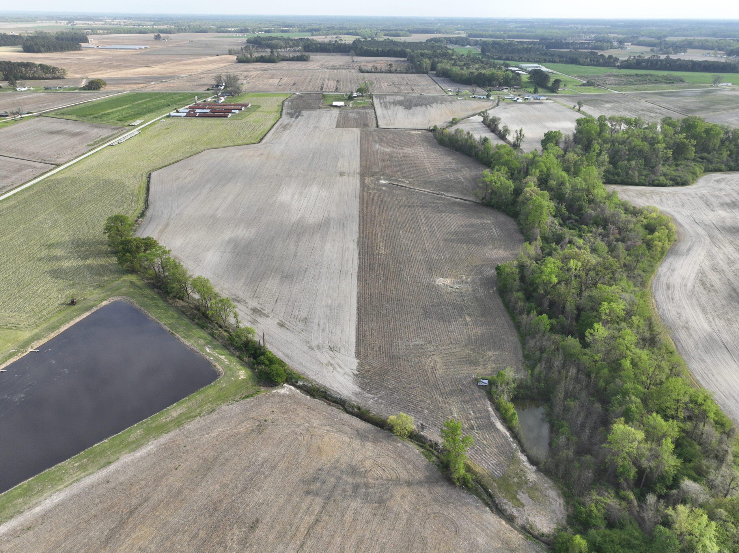 Aerial image (back side) of Horseshoe Mitigation Site in the Neuse river basin in North Carolina for Eco Terra