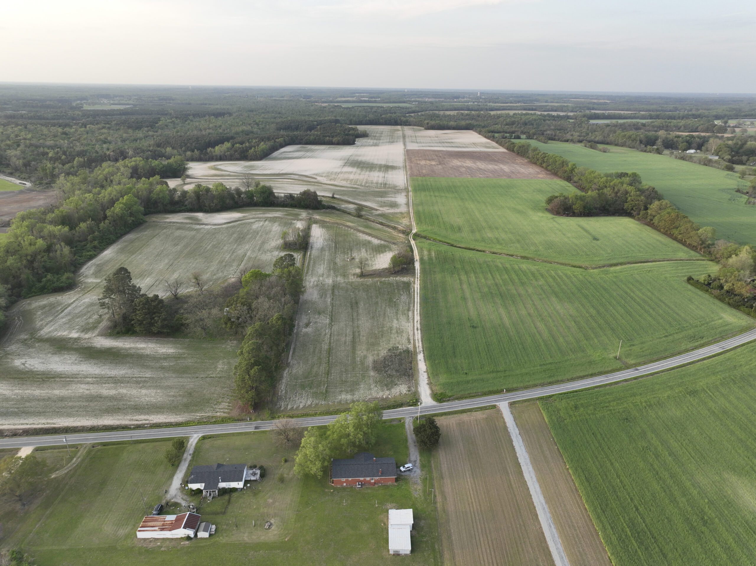 Aerial image of Little Timber Mitigation Site in the Neuse river basin in North Carolina for Eco Terra