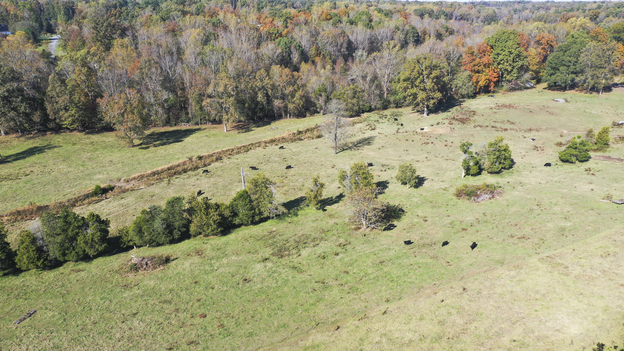 Drone shot of Three Creeks Farm Mitigation Site in the Yadkin Pee Dee river basin in Davidson County, North Carolina by Eco Terra - Cover Photo