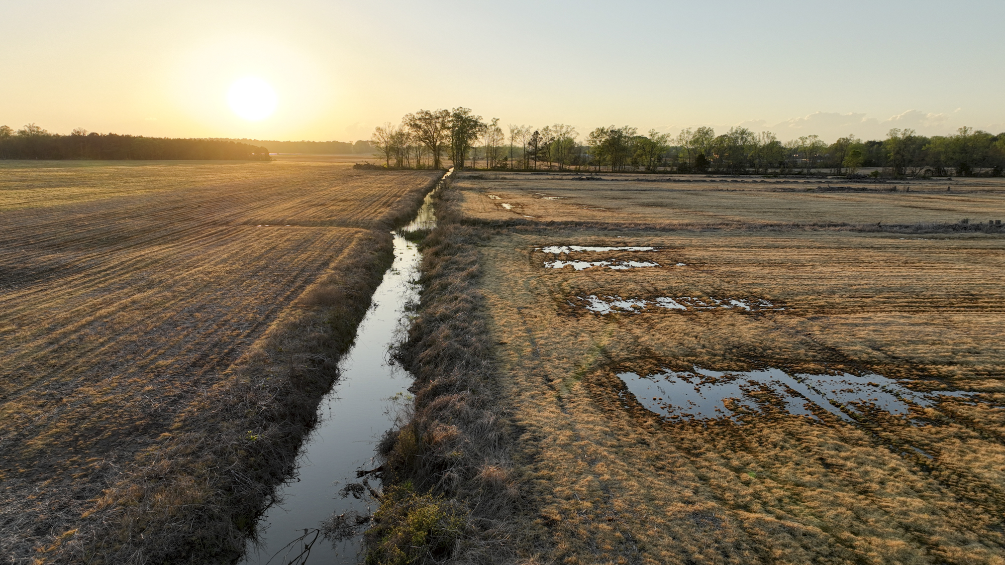 Drone shot of Bonsai Mitigation Site in the Tar-Pamlico river basin in Edgecombe County, North Carolina by Eco Terra - Cover Photo