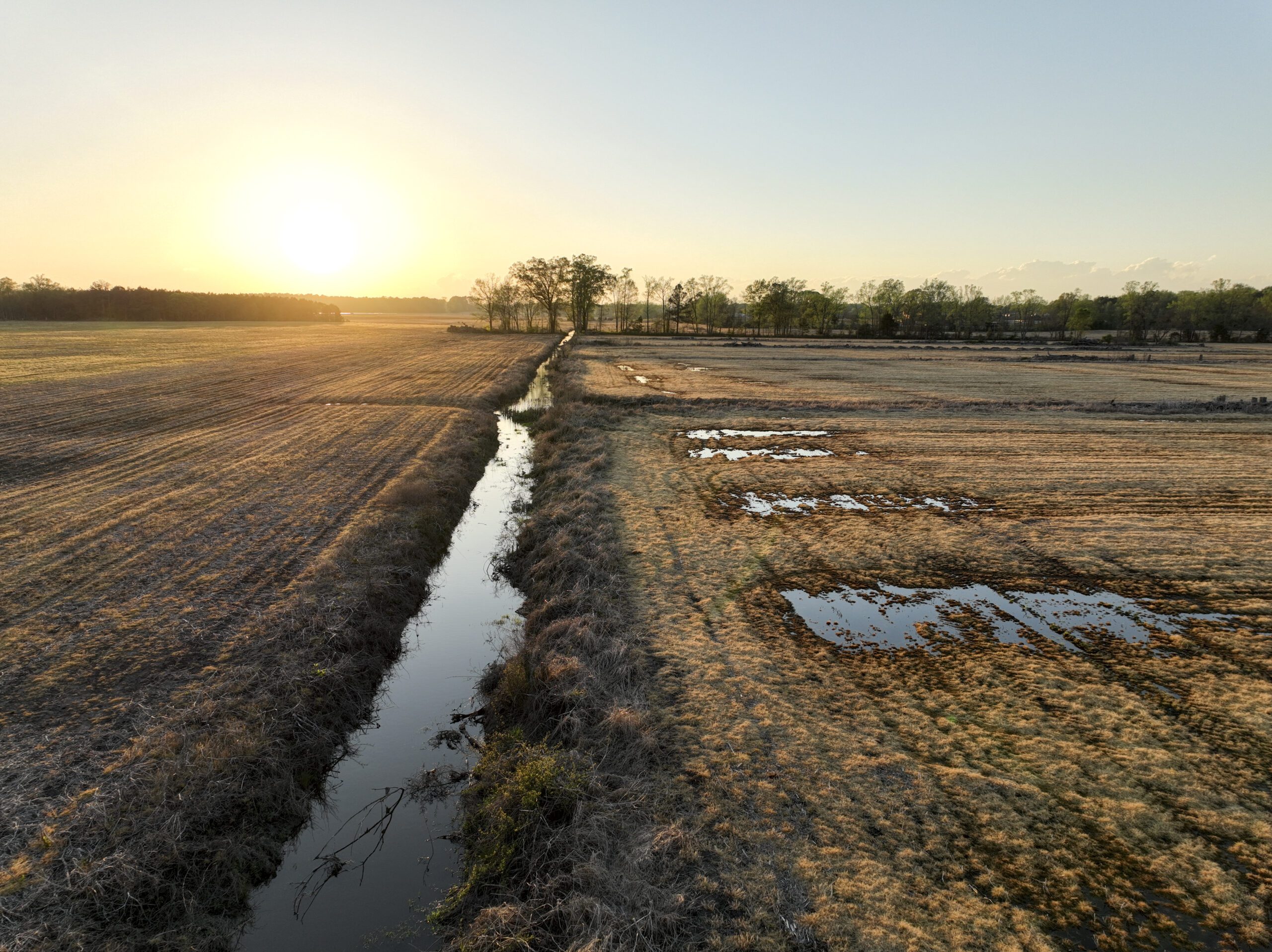 Side drone shot of Bonsai Mitigation Site in the Tar-Pamlico river basin in Edgecombe County, North Carolina by Eco Terra - Project Overview Photo