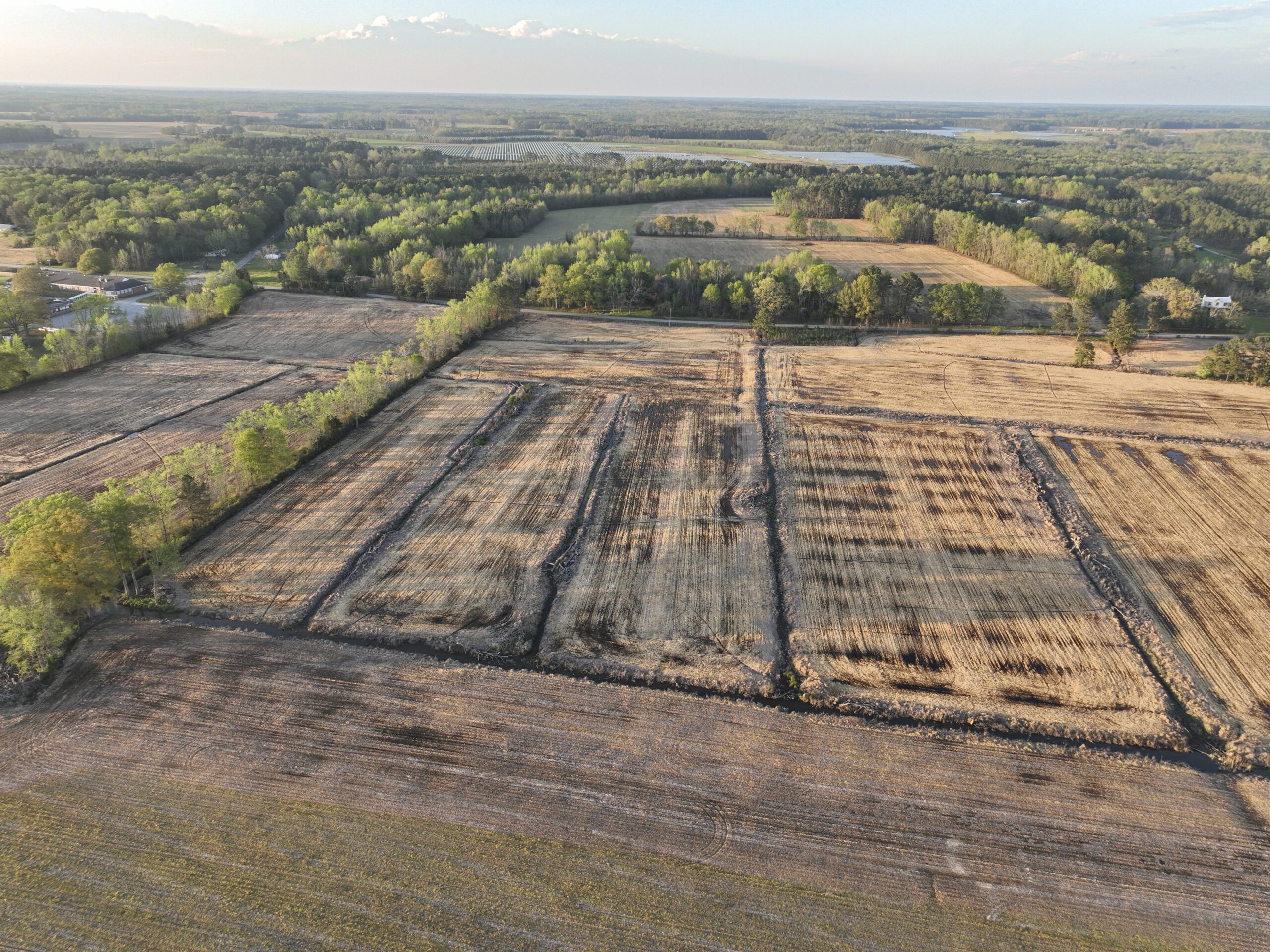 Overview drone shot of Bonsai Mitigation Site in the Tar-Pamlico river basin in Edgecombe County, North Carolina by Eco Terra - Featured Photo