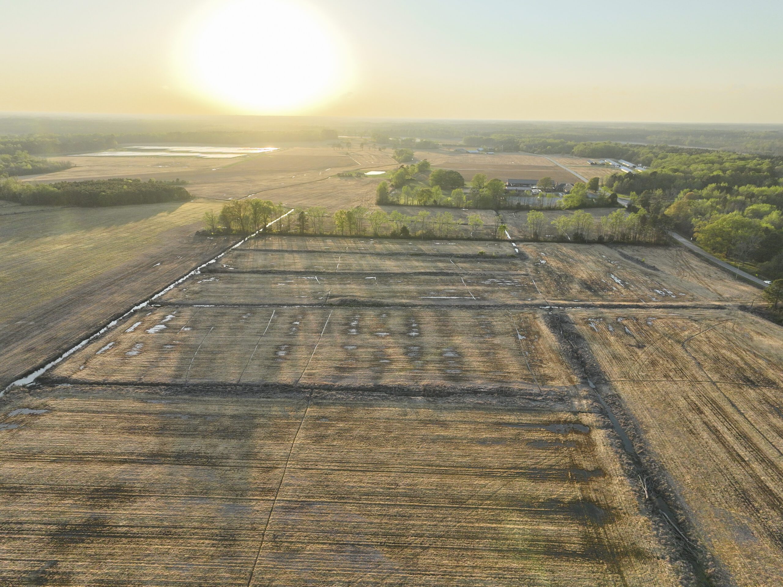 Overview drone shot of Bonsai Mitigation Site in the Tar-Pamlico river basin in Edgecombe County, North Carolina by Eco Terra - Project Overview Photo