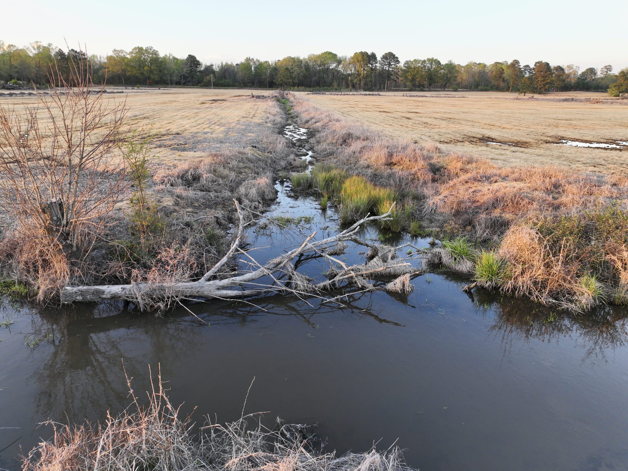 Ditch drone shot of Bonsai Mitigation Site in the Tar-Pamlico river basin in Edgecombe County, North Carolina by Eco Terra - Project Overview Photo