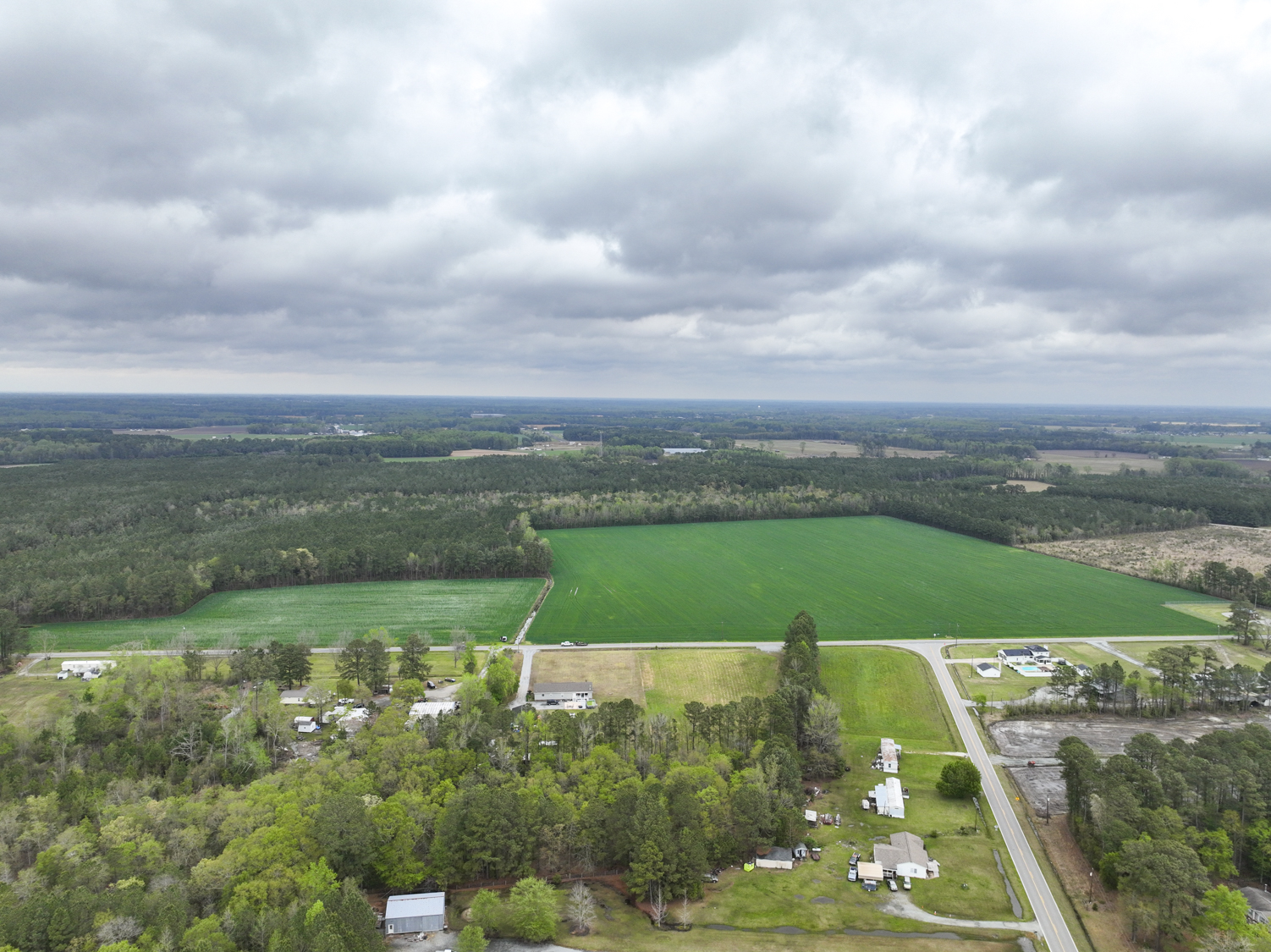 Overview drone shot of Bridgers Mitigation Site in the Neuse river basin in Wayne, North Carolina by Eco Terra - Full Site Image