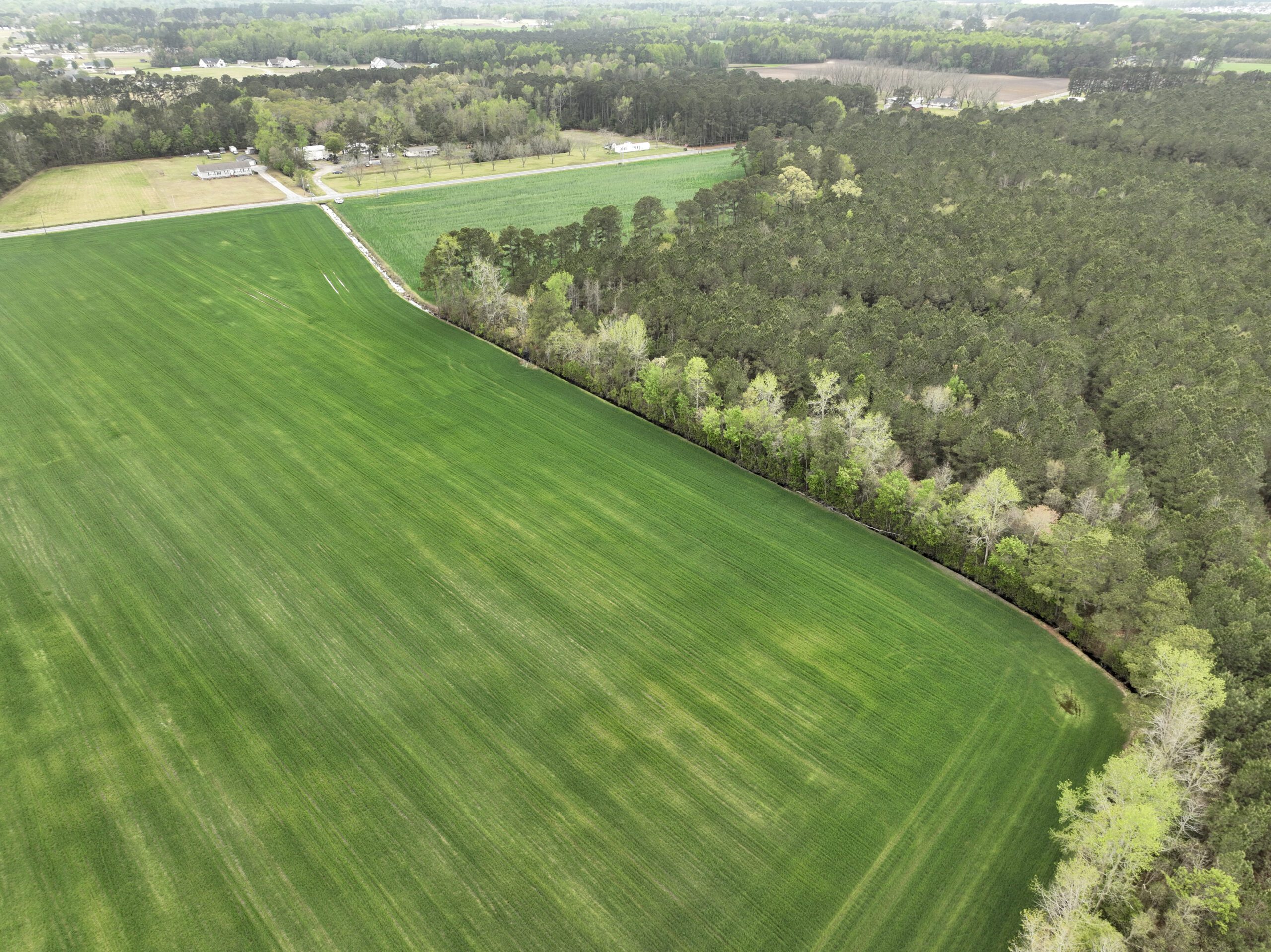 Side view drone shot of Bridgers Mitigation Site in the Neuse river basin in Wayne, North Carolina by Eco Terra