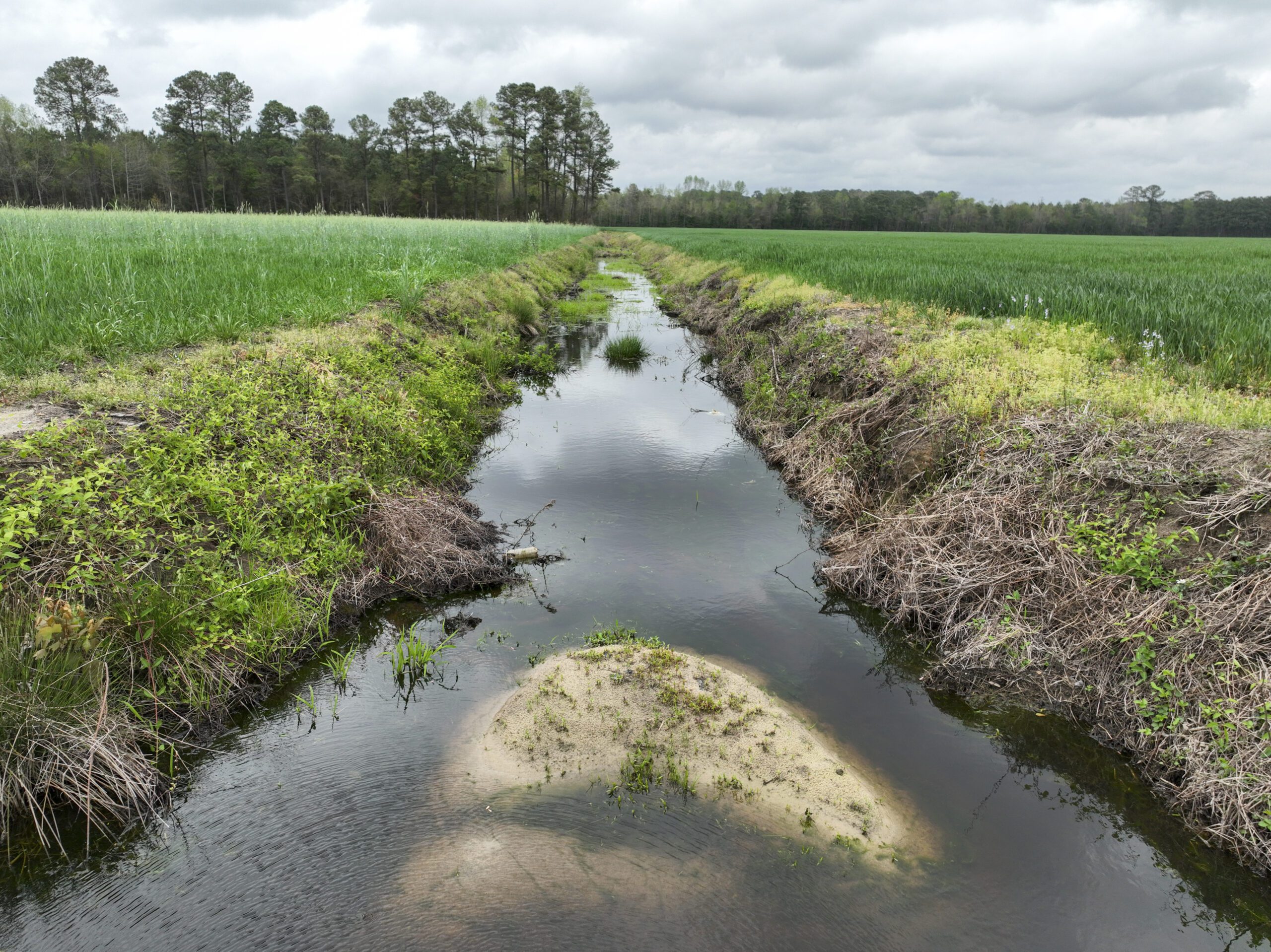 Second drone shot of ditch at Bridgers Mitigation Site in the Neuse river basin in Wayne, North Carolina by Eco Terra