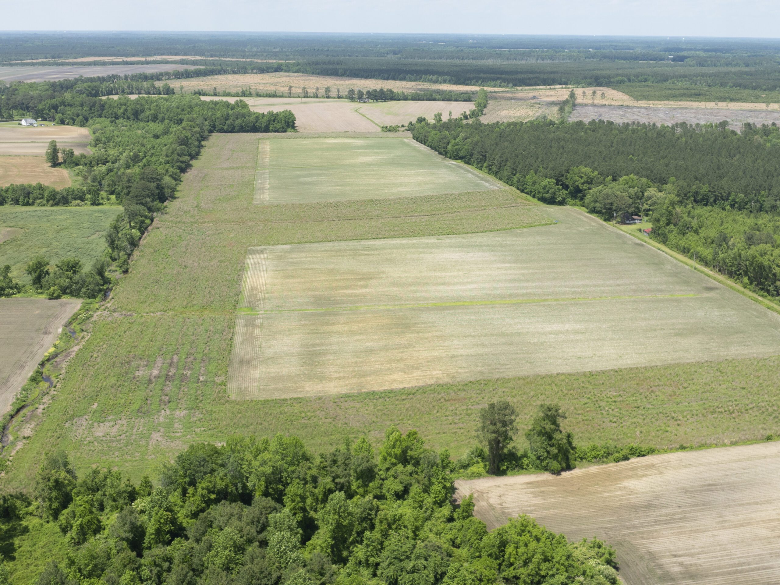 Overview drone shot of Joshua Creek Mitigation Site in the Neuse river basin in Lenoir County, North Carolina by Eco Terra