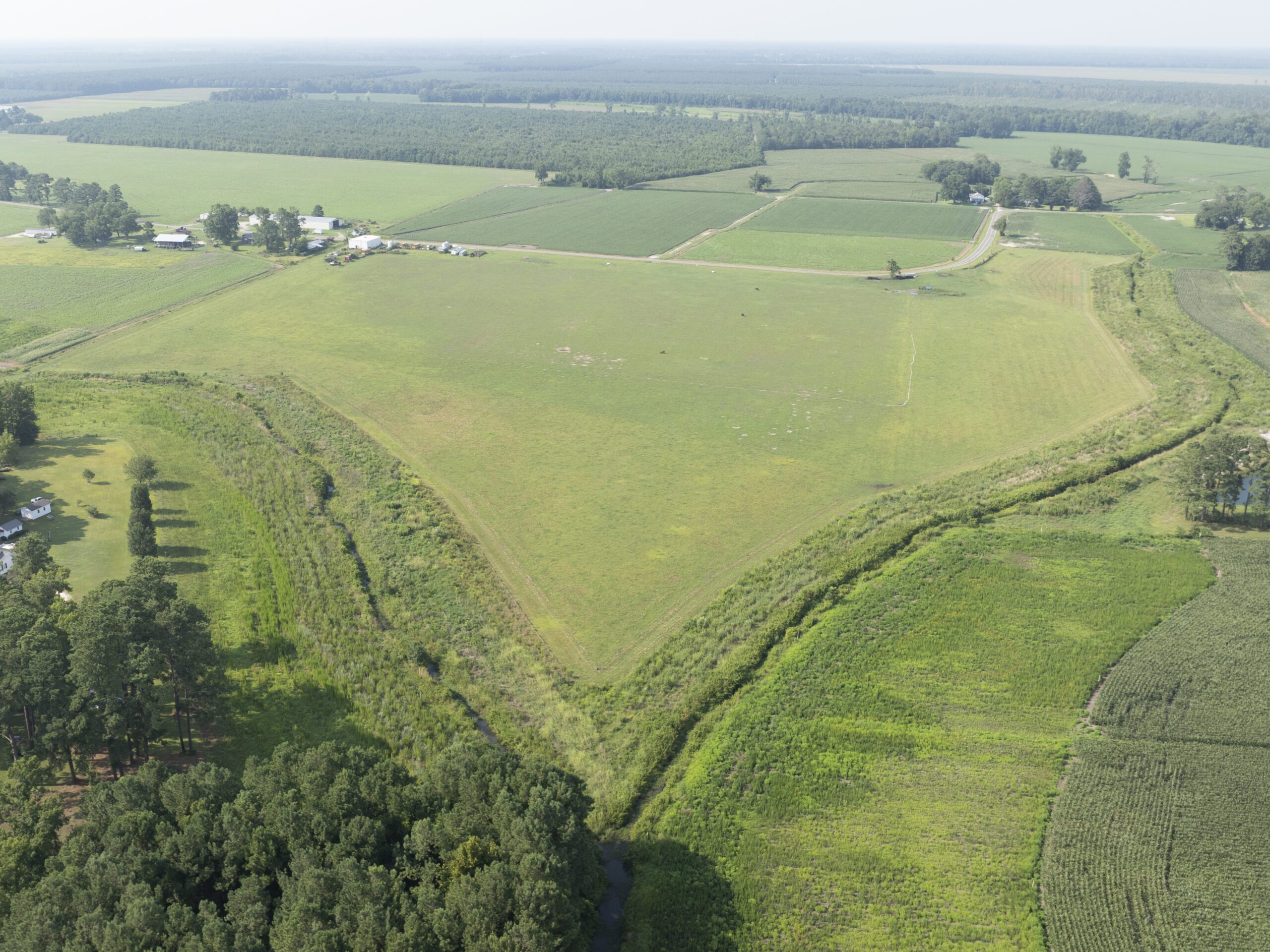 Drone overview shot of our Kingfield Buffer mitigation bank project in the Neuse river basin in Jones County, North Carolina, Kingfield Buffer - Eco Terra