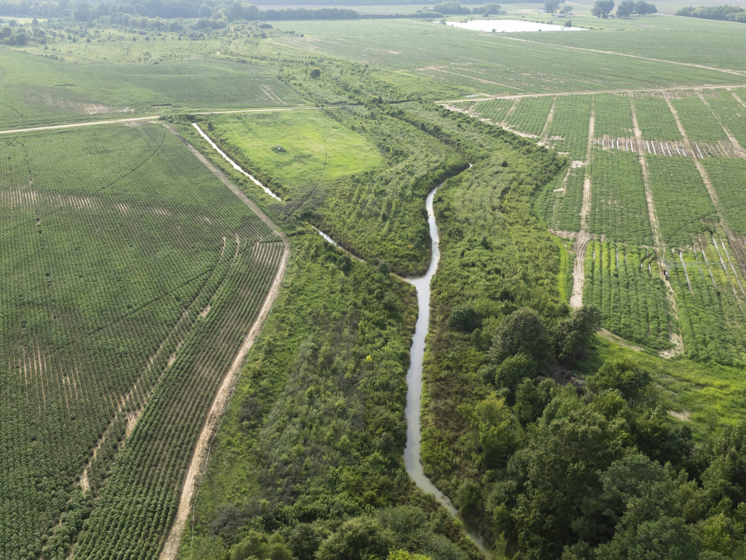 Overview drone shot of our mitigation bank project in Edgecombe County, North Carolina, Boseman Buffer - Eco Terra