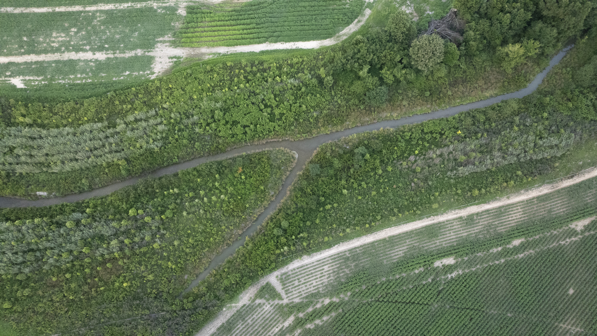 Side drone shot of our mitigation bank project in Edgecombe County, North Carolina, Boseman Buffer - Eco Terra