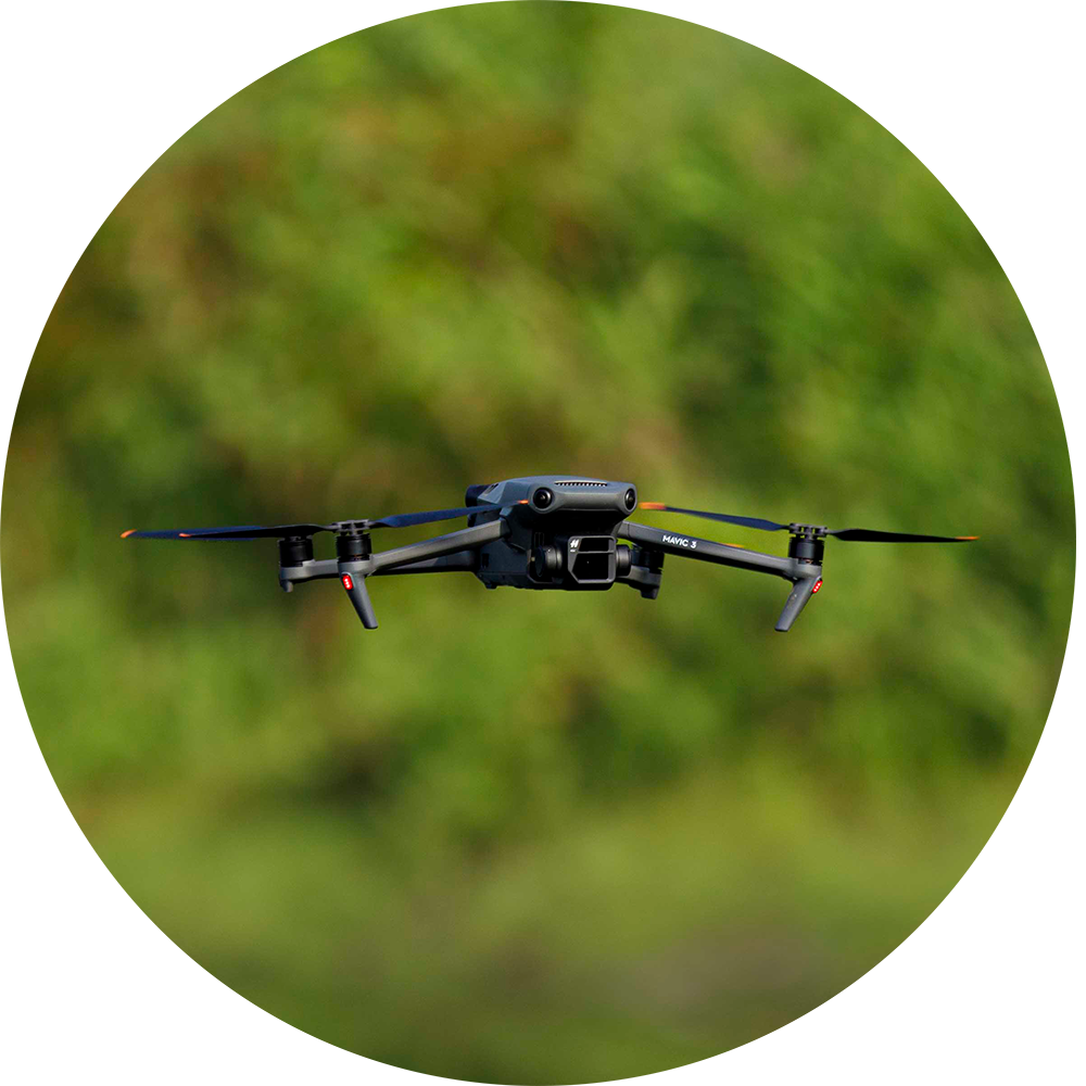 Close up image of Eco Terra's drone at our Kingfield Buffer Mitigation Site in Jones County, North Carolina