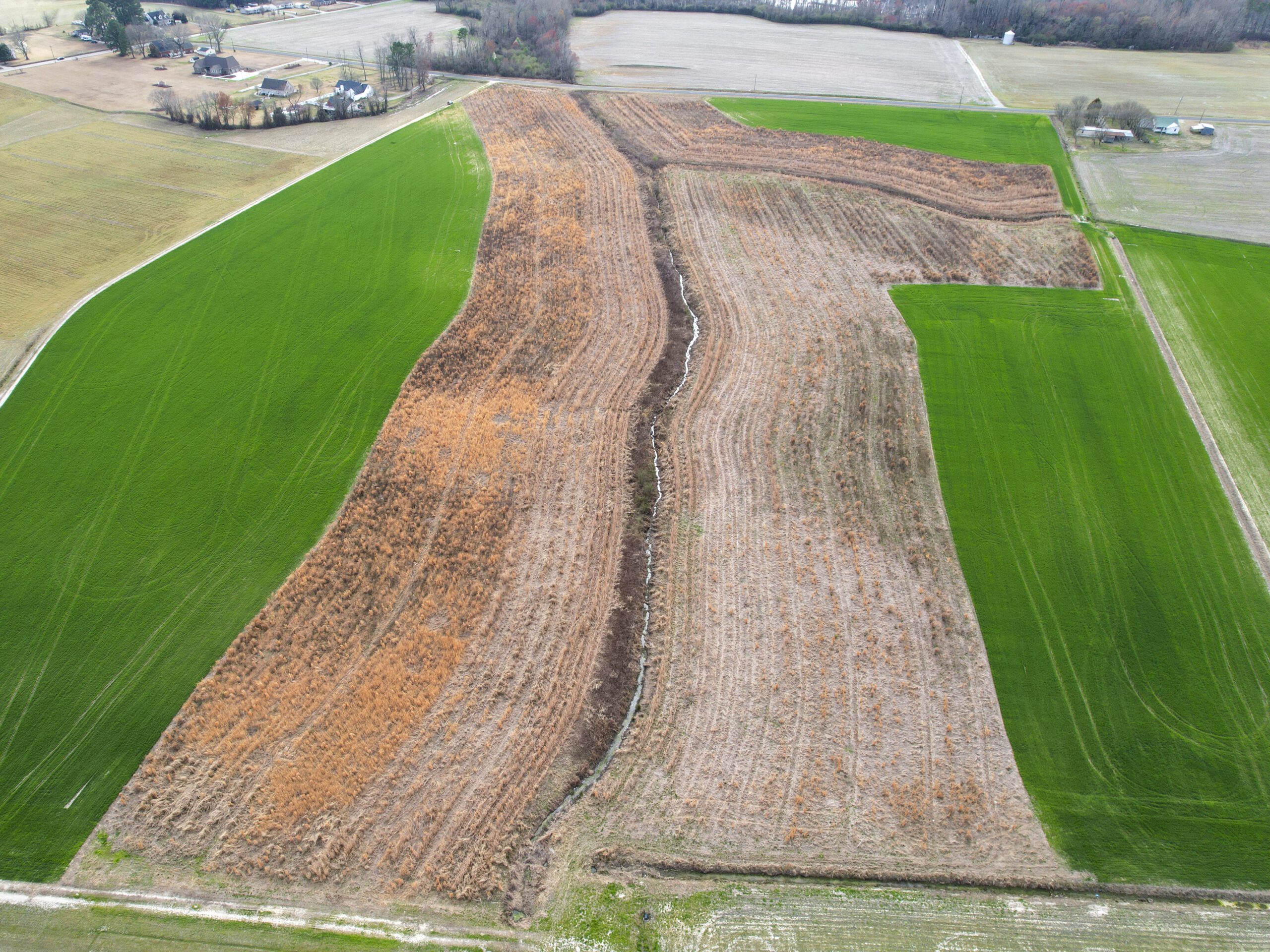 Overview drone shot of our Kittrell Hill mitigation bank project in Pitt County, North Carolina, Kittrell Hill - Eco Terra