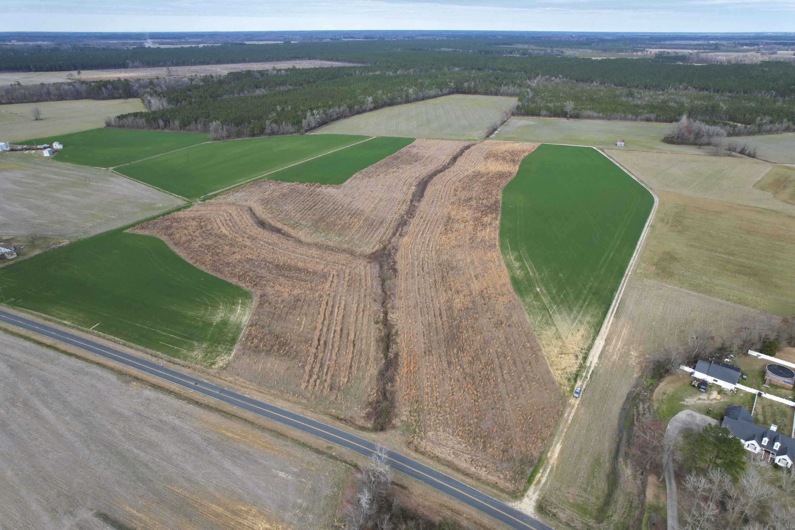 Drove overview image of Kittrell Nutrient and Buffer Mitigation Site in Pitt County, North Carolina - Eco Terra