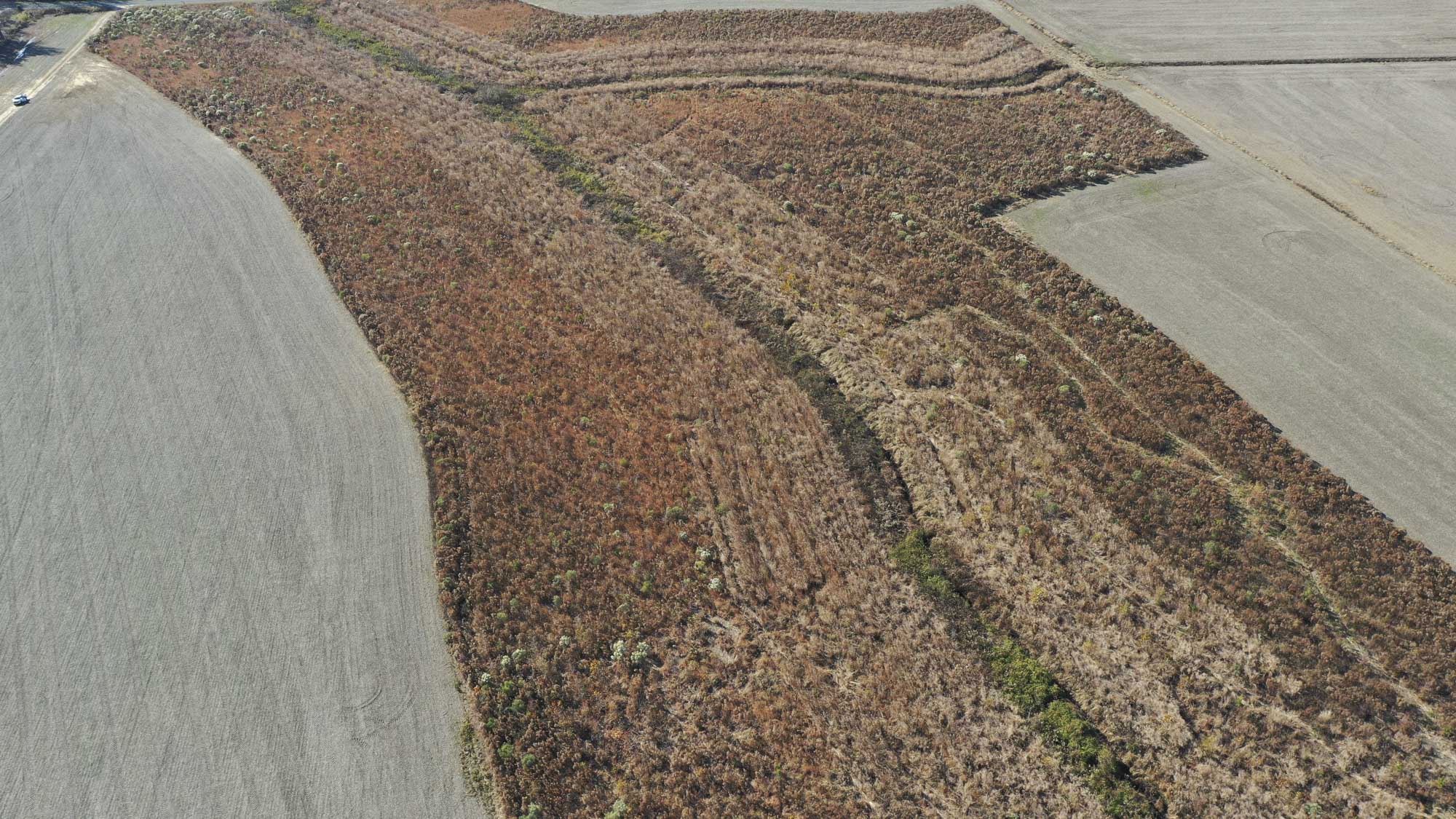 Drone image of our Kittrell Hill Nutrient and Buffer Mitigation Site in Pitt County, North Carolina - Eco Terra