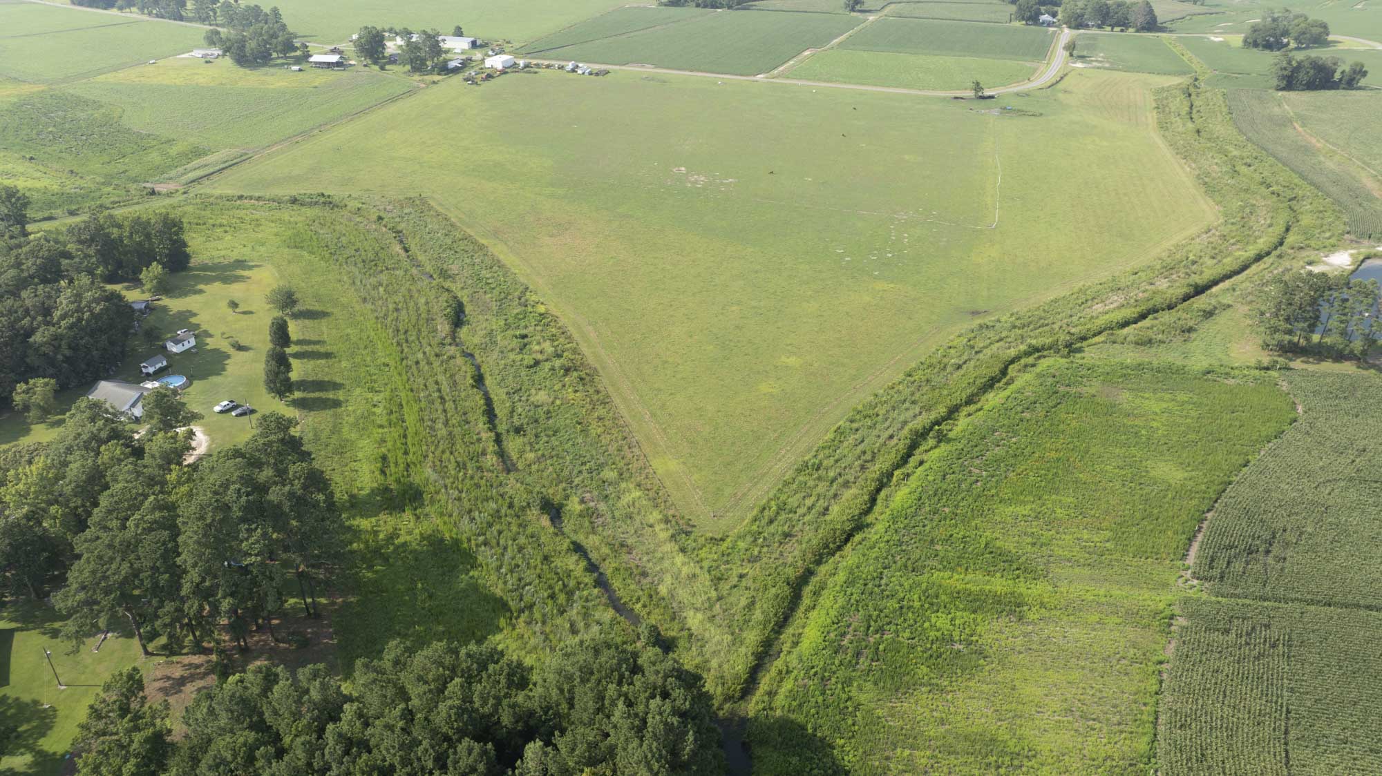 Drone overview of our Kingfield Buffer Mitigation Site in Jones County, North Carolina - Eco Terra