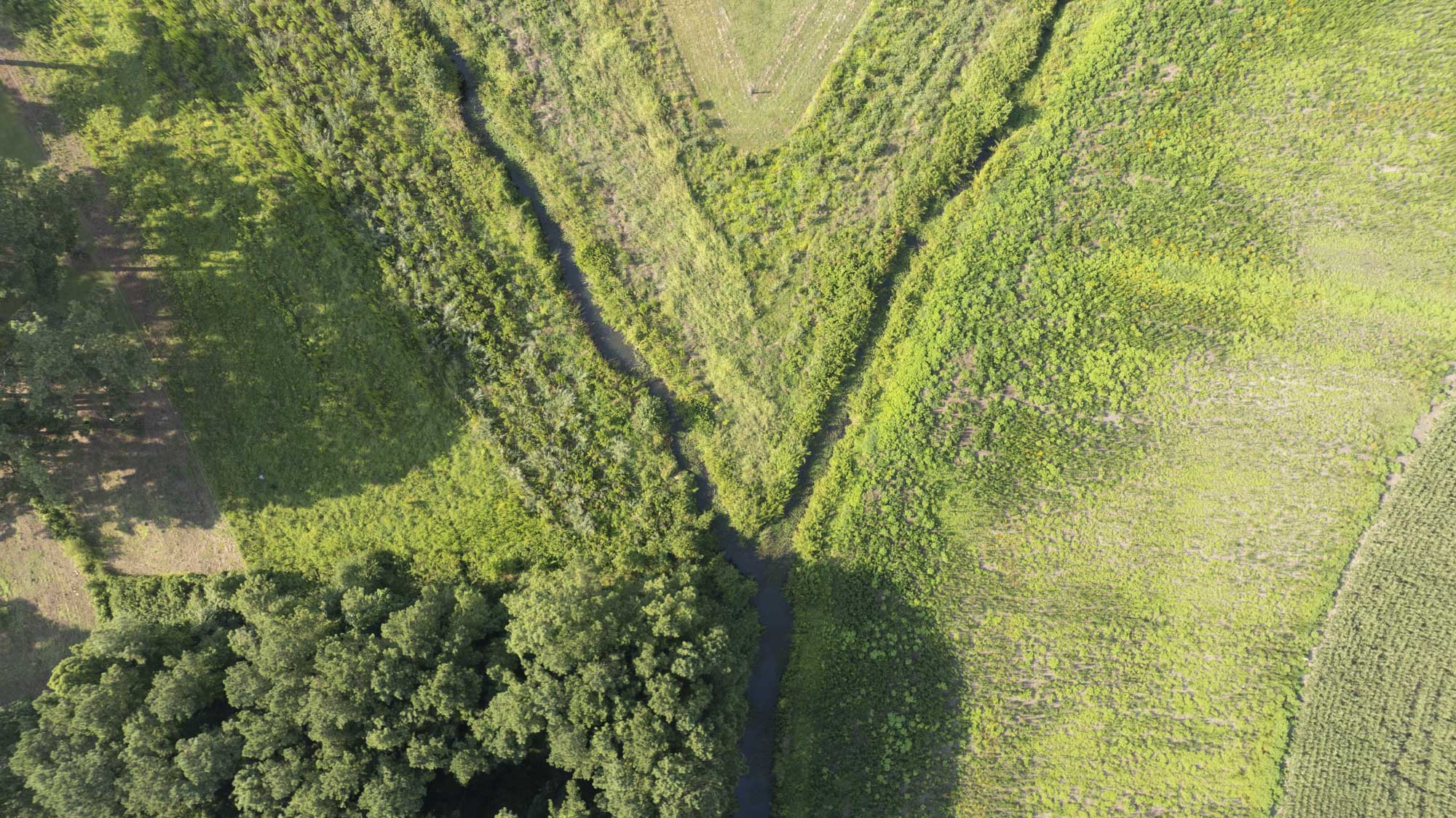 Drone shot of the confluence at our Kingfield Buffer Mitigation Site in Jones County, North Carolina - Eco Terra